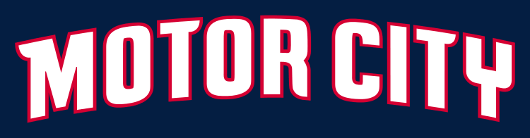 Detroit Pistons 2013-Pres Wordmark Logo DIY iron on transfer (heat transfer)